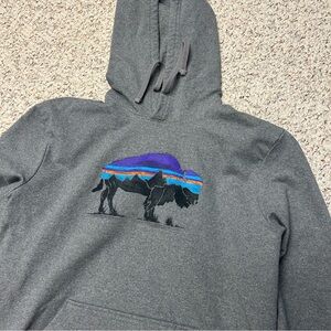 Patagonia Gray Hoodie with Buffalo Design